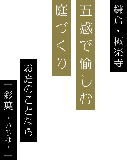 鎌倉・極楽寺 五感で愉しむ庭づくり お庭のことなら「彩葉 -いろは-」